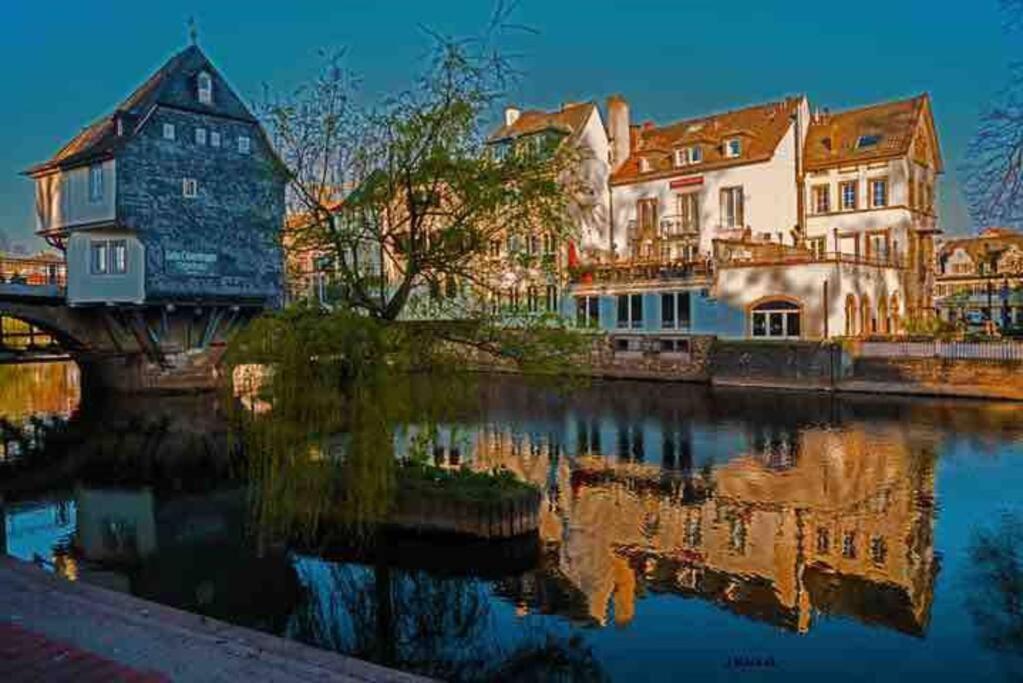 Ellerbachblick In Der Altstadt Apartment Бад Кройцнах Екстериор снимка